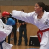 egkf-2010-graz-234